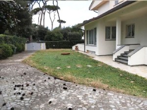 Marina di Pietrasanta Focette villa in bifamiliare : bifamiliare In vendita  Marina di Pietrasanta